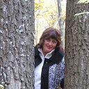 ���� ������, ������ �����, 62 ���� - ��������� 31 ���� 2012 � ������ ���� ����������