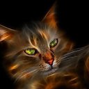 ���� ������, ��������� - ��������� 11 ����� 2013 � ������ ����