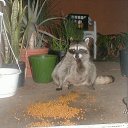 ���� ���, ������� ���� - ��������� 9 ������ 2011 � ������ �� � ��� ������� �����