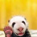 ���� ����. ��������� �� ��!, ������, 72 ���� - ��������� 9 ���� 2011 � ������ ��������߻