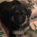 ���� �������, ����-���������, 72 ���� - ��������� 21 ������ 2012