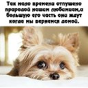 ���� ������, ������ �������� - ��������� 9 ������ 2013 � ������ ������ ��������