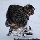 ���� ����, ������, 36 ��� - ��������� 27 ������ 2010 � ������ ������ � ������������