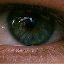 ���� ������, ��������, 31 ��� - ��������� 17 ������ 2012