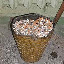 ���� �������, ��������, 38 ��� - ��������� 8 ������ 2011 � ������ �������