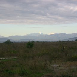 ���� ����, ������, 41 ��� - ��������� 27 ������� 2011