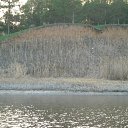 ���� 222, ���������, 41 ��� - ��������� 12 ������ 2012 � ������ ���� ����������