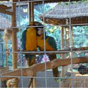 ���� �������, ������������ - ��������� 5 ���� 2010 � ������ �������