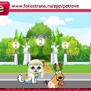  , , 26  -  29  2010   PetLove