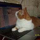 ���� �����, ������, 53 ���� - ��������� 8 ���� 2010 � ������ ���� ���.�