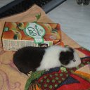 ���� ������-������� ��� ���� �����, ��������, 85 ��� - ��������� 18 ������ 2010 � ������ ���� ��������!�