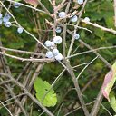 ���� ����, ������, 39 ��� - ��������� 9 ������� 2009 � ������ ����.....������...!!!!!!!!!!)))))))�