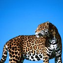 ���� Sanat, ���� - ��������� 22 ������� 2012 � ������ ������� �������!�