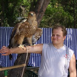 ���� ��������, ���������, 28 ��� - ��������� 18 ������� 2013