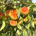 ���� ����, ������ - ��������� 5 ������� 2011