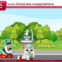 ���� �������, ������� - ��������� 28 ������ 2010