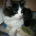 ���� ��������, �������, 38 ��� - ��������� 6 ������� 2012