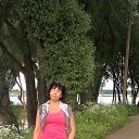 ���� ���/120/, �����-��������� - ��������� 31 ���� 2013 � ������ ���� ����������