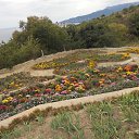 ���� ��������, ������, 44 ���� - ��������� 30 ������� 2012 � ������ ���� ����������