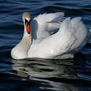 ���� ������, ����������, 49 ��� - ��������� 13 ��� 2012 � ������ ���� ����������