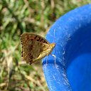 ���� Serg, ����� - ��������� 23 ������� 2009 � ������ ���������