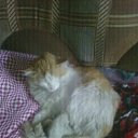 ���� ��������., ����������� - ��������� 30 ���� 2011 � ������ ���� ������� ��������.�