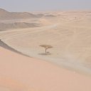 ���� ������, ������ - ��������� 20 ���� 2012 � ������ �������