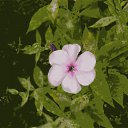 ���� ����, �������, 29 ��� - ��������� 29 ���� 2012 � ������ �������