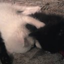 ���� �����, �������, 42 ���� - ��������� 21 ��� 2011 � ������ ���� ��������