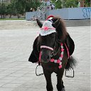 ���� ������, ���������, 62 ���� - ��������� 12 ���� 2012 � ������ �12 �����