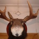 ���� �����, ������ - ��������� 16 ������� 2011 � ������ �������