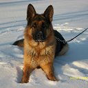  ,  -  13  2012      Ȼ