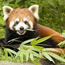 ���� ���������, �������, 25 ��� - ��������� 4 ���� 2013 � ������ ���� ����������