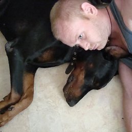 �������, ����, 38 ���