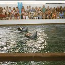 ���� �����, ������ - ��������� 25 ������� 2009 � ������ ��� ����