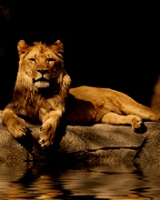 ���� ��������, �����, 62 ���� - ��������� 30 ������ 2012