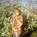 ���� ����, �����������, 51 ��� - ��������� 13 ��� 2013 � ������ ���� ����������