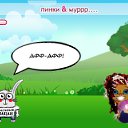  Infinitty, , 27  -  9  2010   PetLove