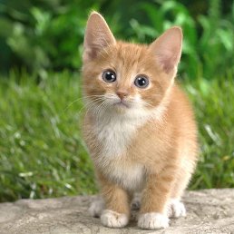 ���� ������, ����������, 52 ���� - ��������� 4 ������ 2013