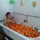 ���� ����, �����������, 33 ���� - ��������� 23 ��� 2012