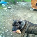 ���� �������, ������, 67 ��� - ��������� 12 ���� 2012 � ������ ���� ������ �����������