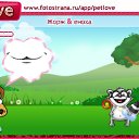  Rita-xd, Kohtla, 26  -  11  2010   PetLove