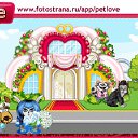  , , 61  -  11  2011   PetLove