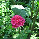 ���� �����, ������ - ��������� 12 ���� 2010 � ������ ��������