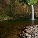 ���� �����, ����������� - ��������� 11 ������ 2012