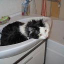 ���� �����, ������������, 51 ��� - ��������� 1 ������� 2011 � ������ ���� ����������