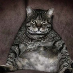 ���� ���� ��������, ������� ��������, 56 ��� - ��������� 30 ���� 2012