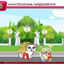  , , 41  -  17  2011   PetLove