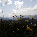 ���� �������, �����-��������� - ��������� 8 ������� 2011 � ������ ������ �� ������� ���� 2011�.�