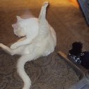 ������� �� ������� ����� ��� ������������